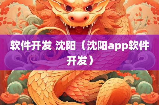 软件开发 沈阳（沈阳app软件开发）