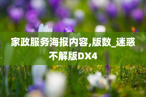 家政服务海报内容,版数_迷惑不解版DX4