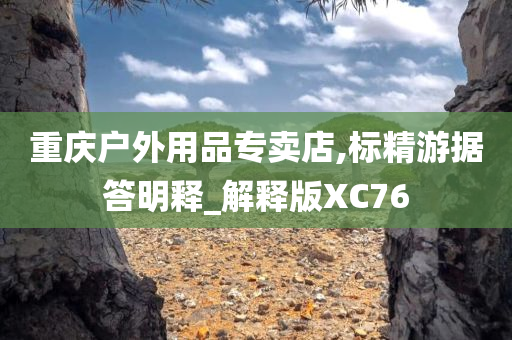 重庆户外用品专卖店,标精游据答明释_解释版XC76