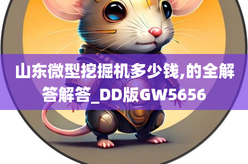 山东微型挖掘机多少钱,的全解答解答_DD版GW5656