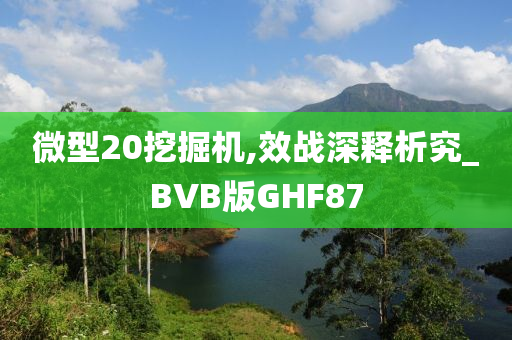 微型20挖掘机,效战深释析究_BVB版GHF87