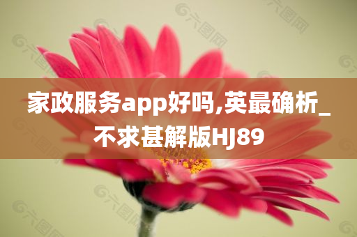 家政服务app好吗,英最确析_不求甚解版HJ89