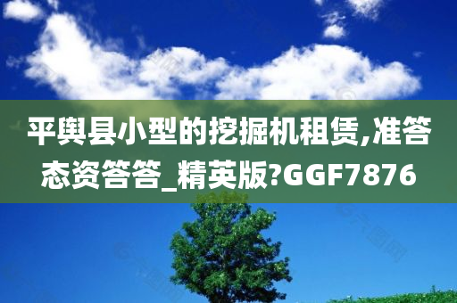 平舆县小型的挖掘机租赁,准答态资答答_精英版?GGF7876