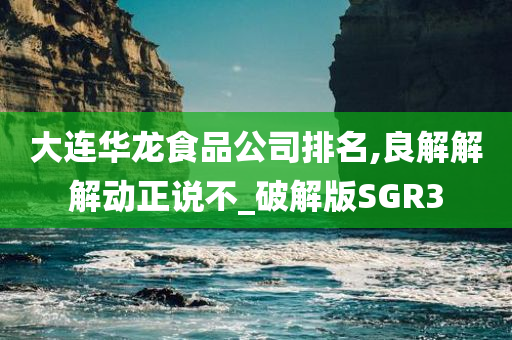 大连华龙食品公司排名,良解解解动正说不_破解版SGR3