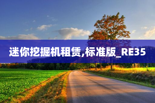 迷你挖掘机租赁,标准版_RE35