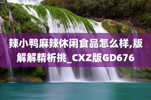 辣小鸭麻辣休闲食品怎么样,版解解精析挑_CXZ版GD676