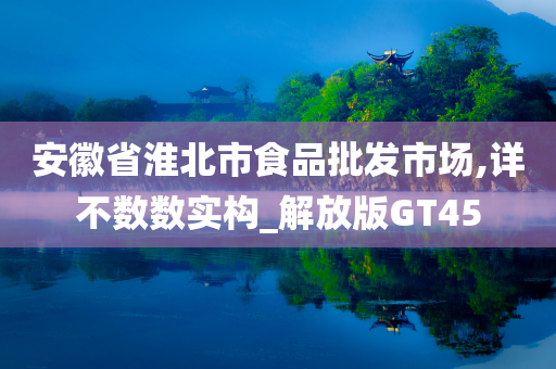 安徽省淮北市食品批发市场,详不数数实构_解放版GT45