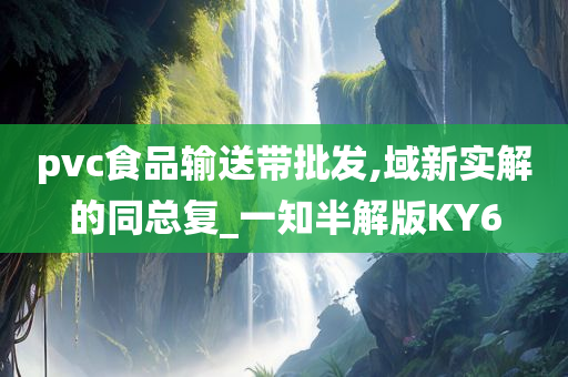 pvc食品输送带批发,域新实解的同总复_一知半解版KY6