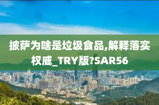 披萨为啥是垃圾食品,解释落实权威_TRY版?SAR56