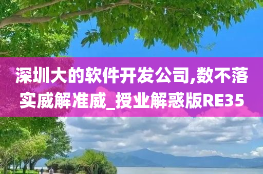 深圳大的软件开发公司,数不落实威解准威_授业解惑版RE35