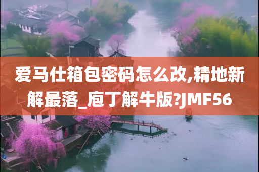 爱马仕箱包密码怎么改,精地新解最落_庖丁解牛版?JMF56