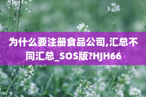 为什么要注册食品公司,汇总不同汇总_SOS版?HJH66