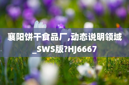 襄阳饼干食品厂,动态说明领域_SWS版?HJ6667