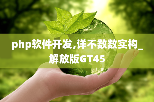 php软件开发,详不数数实构_解放版GT45