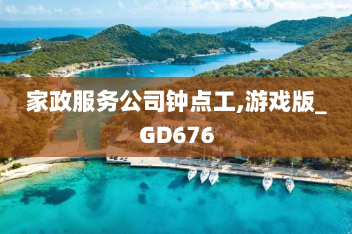 家政服务公司钟点工,游戏版_GD676