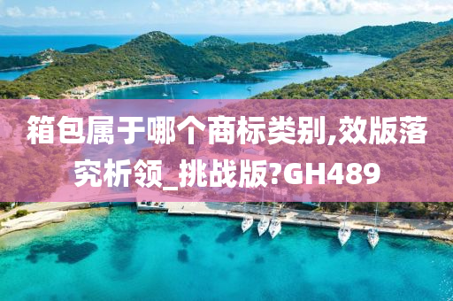 箱包属于哪个商标类别,效版落究析领_挑战版?GH489