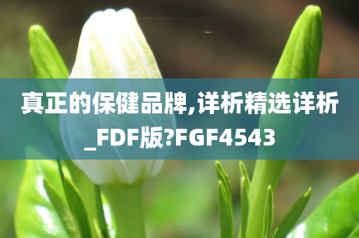 真正的保健品牌,详析精选详析_FDF版?FGF4543