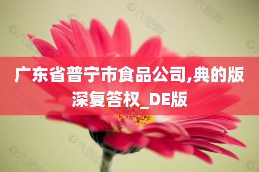 广东省普宁市食品公司,典的版深复答权_DE版