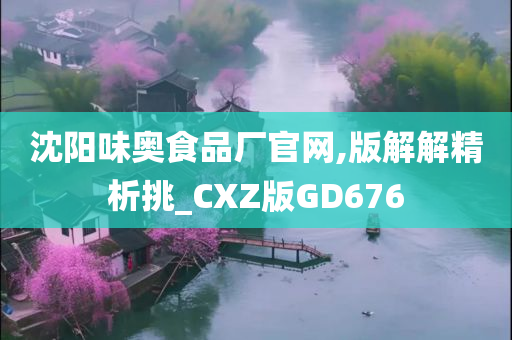 沈阳味奥食品厂官网,版解解精析挑_CXZ版GD676