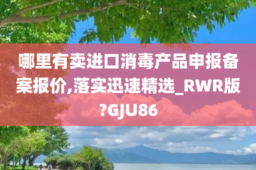 哪里有卖进口消毒产品申报备案报价,落实迅速精选_RWR版?GJU86