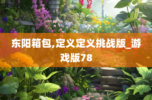 东阳箱包,定义定义挑战版_游戏版78