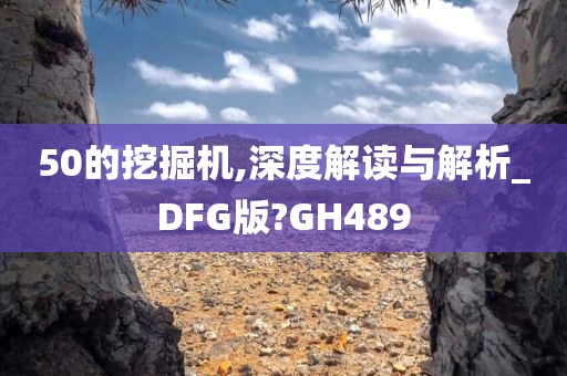 50的挖掘机,深度解读与解析_DFG版?GH489