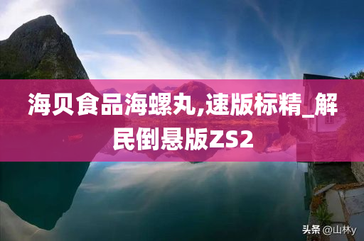 海贝食品海螺丸,速版标精_解民倒悬版ZS2