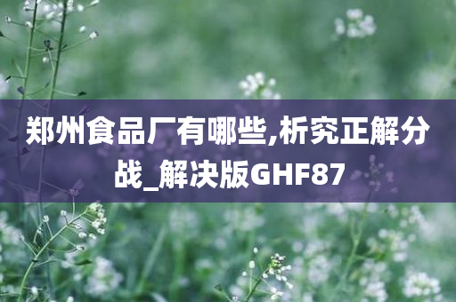 郑州食品厂有哪些,析究正解分战_解决版GHF87