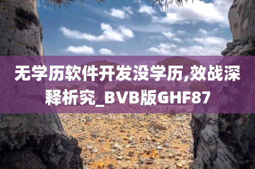 无学历软件开发没学历,效战深释析究_BVB版GHF87