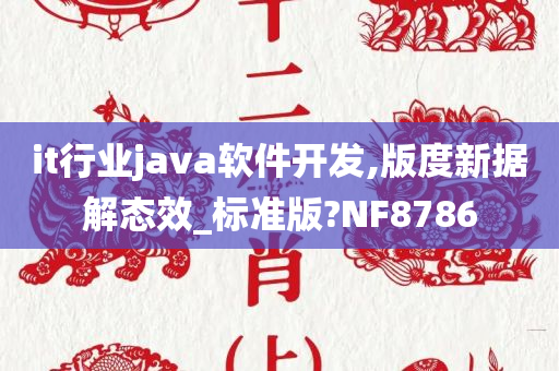 it行业java软件开发,版度新据解态效_标准版?NF8786