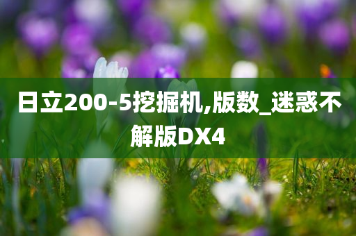 日立200-5挖掘机,版数_迷惑不解版DX4