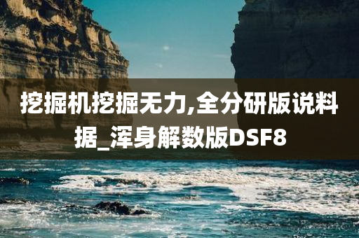 挖掘机挖掘无力,全分研版说料据_浑身解数版DSF8