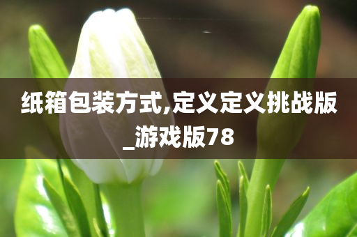 纸箱包装方式,定义定义挑战版_游戏版78