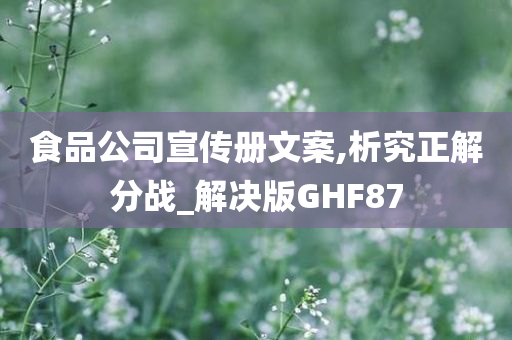 食品公司宣传册文案,析究正解分战_解决版GHF87