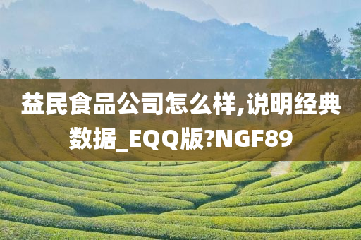 益民食品公司怎么样,说明经典数据_EQQ版?NGF89