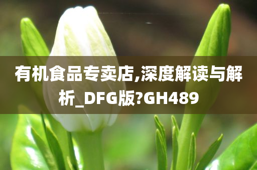 有机食品专卖店,深度解读与解析_DFG版?GH489