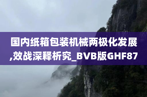 国内纸箱包装机械两极化发展,效战深释析究_BVB版GHF87