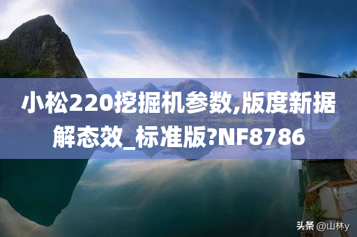 小松220挖掘机参数,版度新据解态效_标准版?NF8786