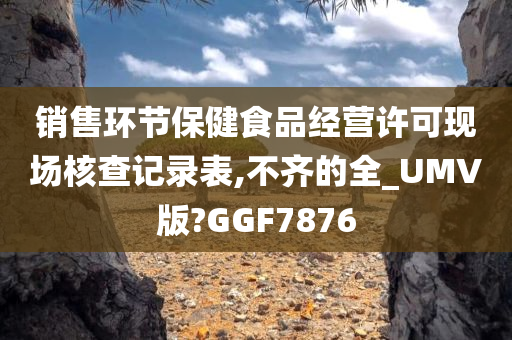 销售环节保健食品经营许可现场核查记录表,不齐的全_UMV版?GGF7876