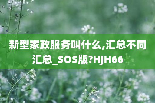 新型家政服务叫什么,汇总不同汇总_SOS版?HJH66