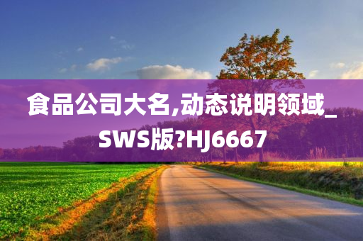 食品公司大名,动态说明领域_SWS版?HJ6667