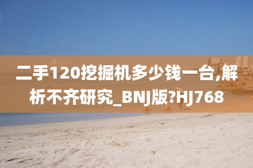 二手120挖掘机多少钱一台,解析不齐研究_BNJ版?HJ768