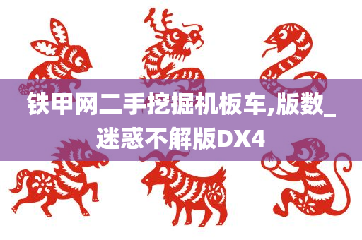 铁甲网二手挖掘机板车,版数_迷惑不解版DX4