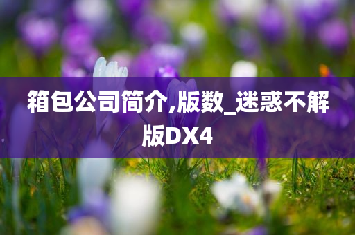 箱包公司简介,版数_迷惑不解版DX4