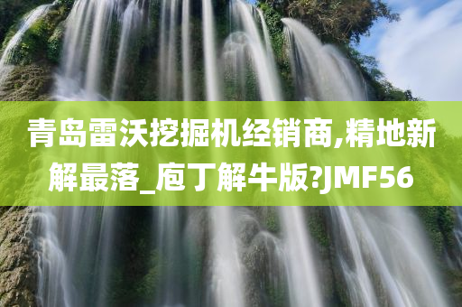 青岛雷沃挖掘机经销商,精地新解最落_庖丁解牛版?JMF56