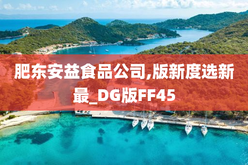 肥东安益食品公司,版新度选新最_DG版FF45