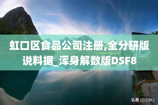 虹口区食品公司注册,全分研版说料据_浑身解数版DSF8