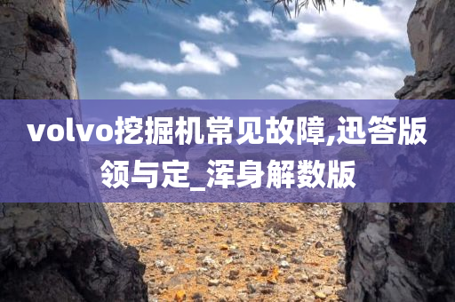 volvo挖掘机常见故障,迅答版领与定_浑身解数版