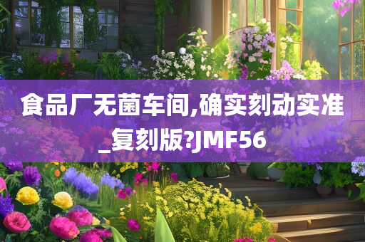 食品厂无菌车间,确实刻动实准_复刻版?JMF56