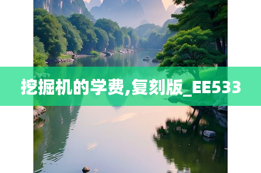 挖掘机的学费,复刻版_EE533